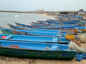 இறால் கொள்முதல் நிறுத்தம்: தூத்துக்குடியிலிருந்து கோடியக்கரை வரை மீனவர்கள் ஸ்டிரைக்