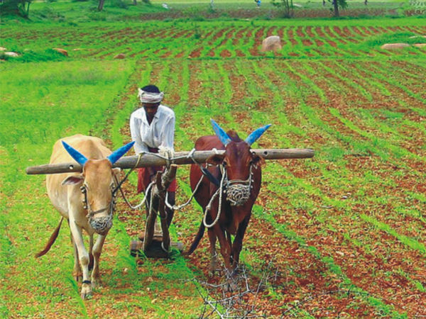 à®ªà®¯à®¿à®±à¯ à®à¯à®¯à¯à®¯ à®®à®¾à®©à®¿à®¯à®®à¯ 