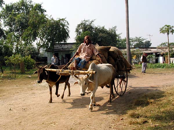 ஊரக வளர்ச்சித் துறை