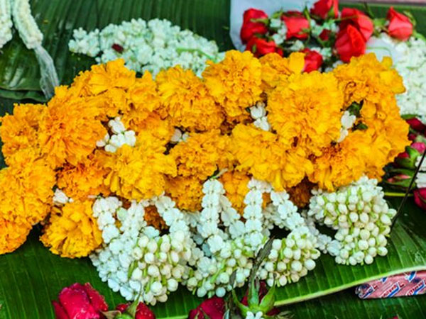 குழந்தைகள்